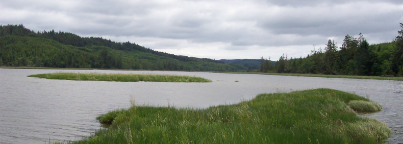 view of estuarine system at Elk River