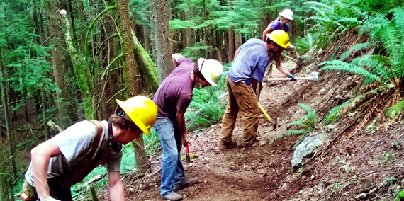 Volunteers maintain trail on Tiger Mountain. 
