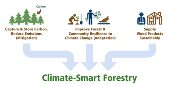A graphic showing that Climate-Smart Forestry is comprised  of three things. First is mitigation described as capture and store carbon, reduce emissions. Second is adaptation described as improve forest and community resilience to climate change. Third is Supply wood products sustainably.