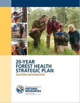 Forest Health Plan Cover