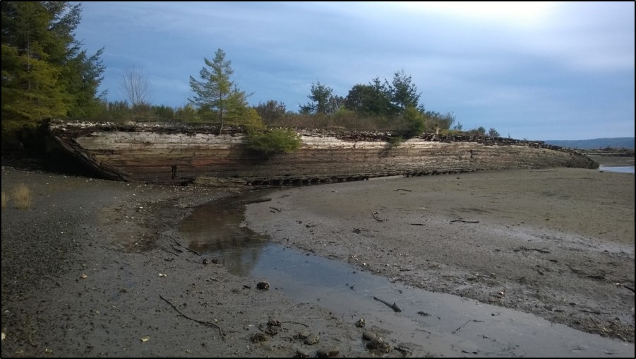 Before photo of shoreline restoration in Hood Canal
