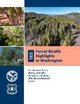 2023 Forest Health Highlights cover image