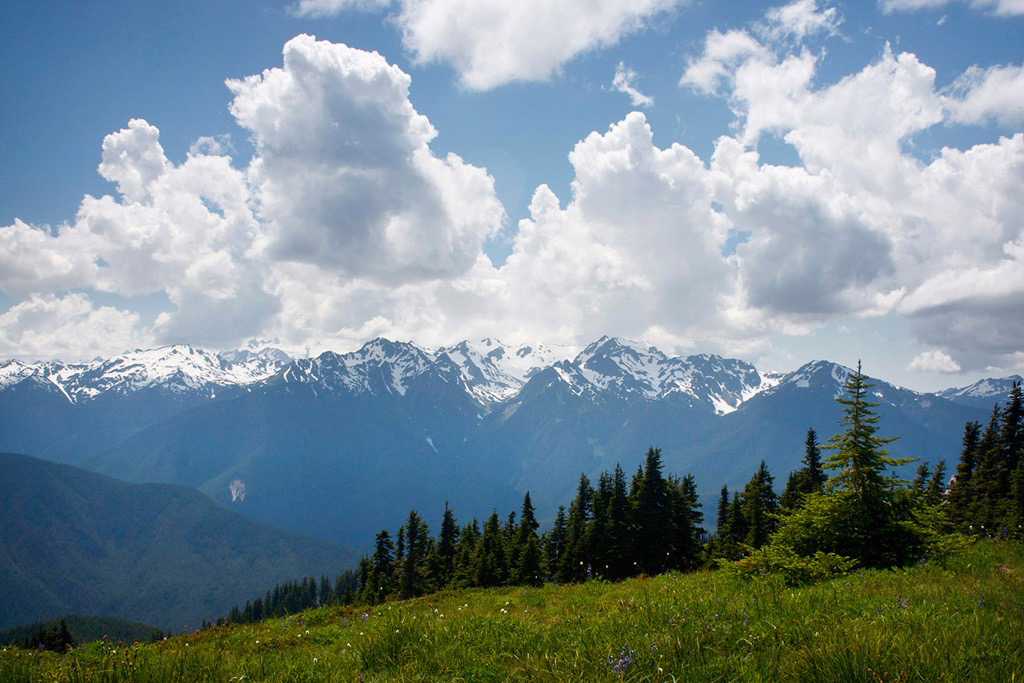 Mountains, clouds, and trees