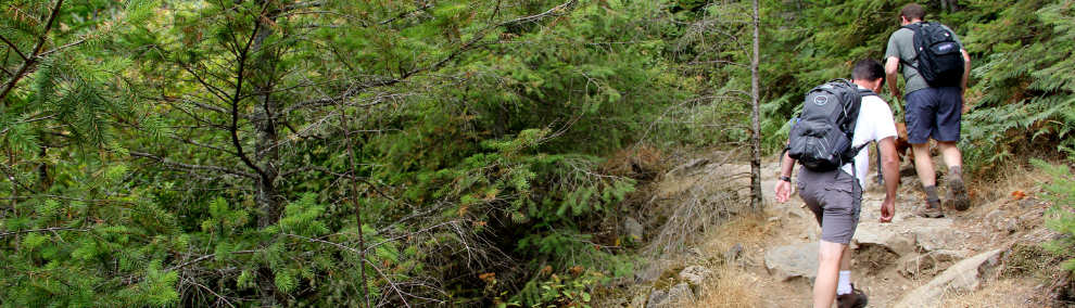 Hikers on a DNR trail