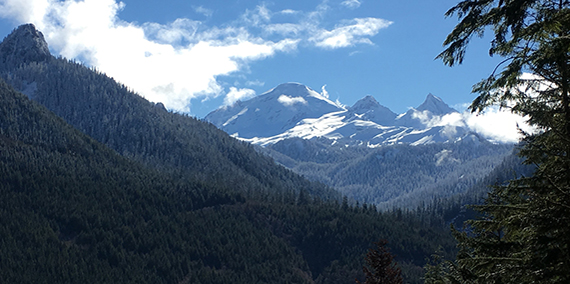 Washington's Mount Baker after a light snowfall