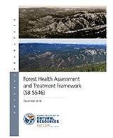 forest health assessment 2018