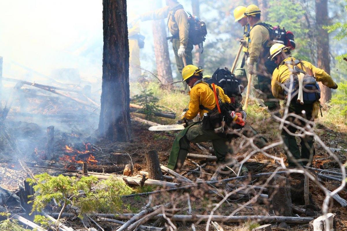 Wildfire Assessments Wa Dnr