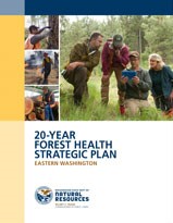 forest health strategic plan cover