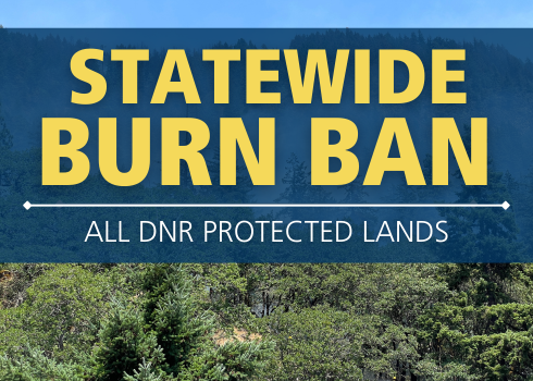 Statewide burn ban